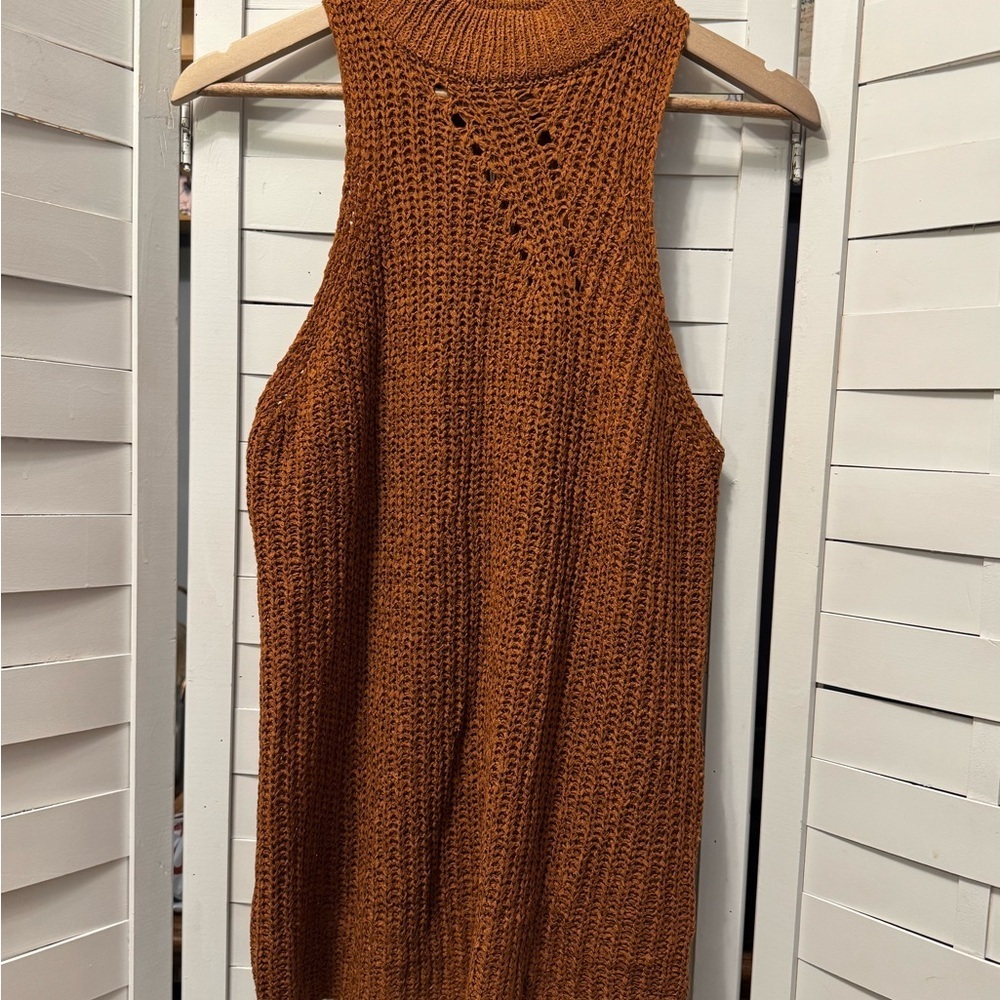 NWT The Blu ivy Sleeveless Knit Sweater in Brown
